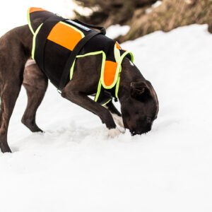 Julius K9 Çok İşlevli - köpek yeleği 3'ü 1 arada